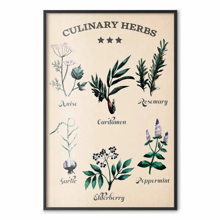 Hierbas de cocina - plantas comestibles con letras negras