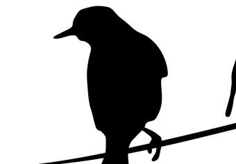 Cuadro moderno Conversaciones de pájaros (1 pieza) - animales blanco y negro