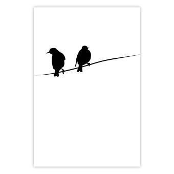 Cartel Conversaciones de aves - aves en cables sobre fondo blanco