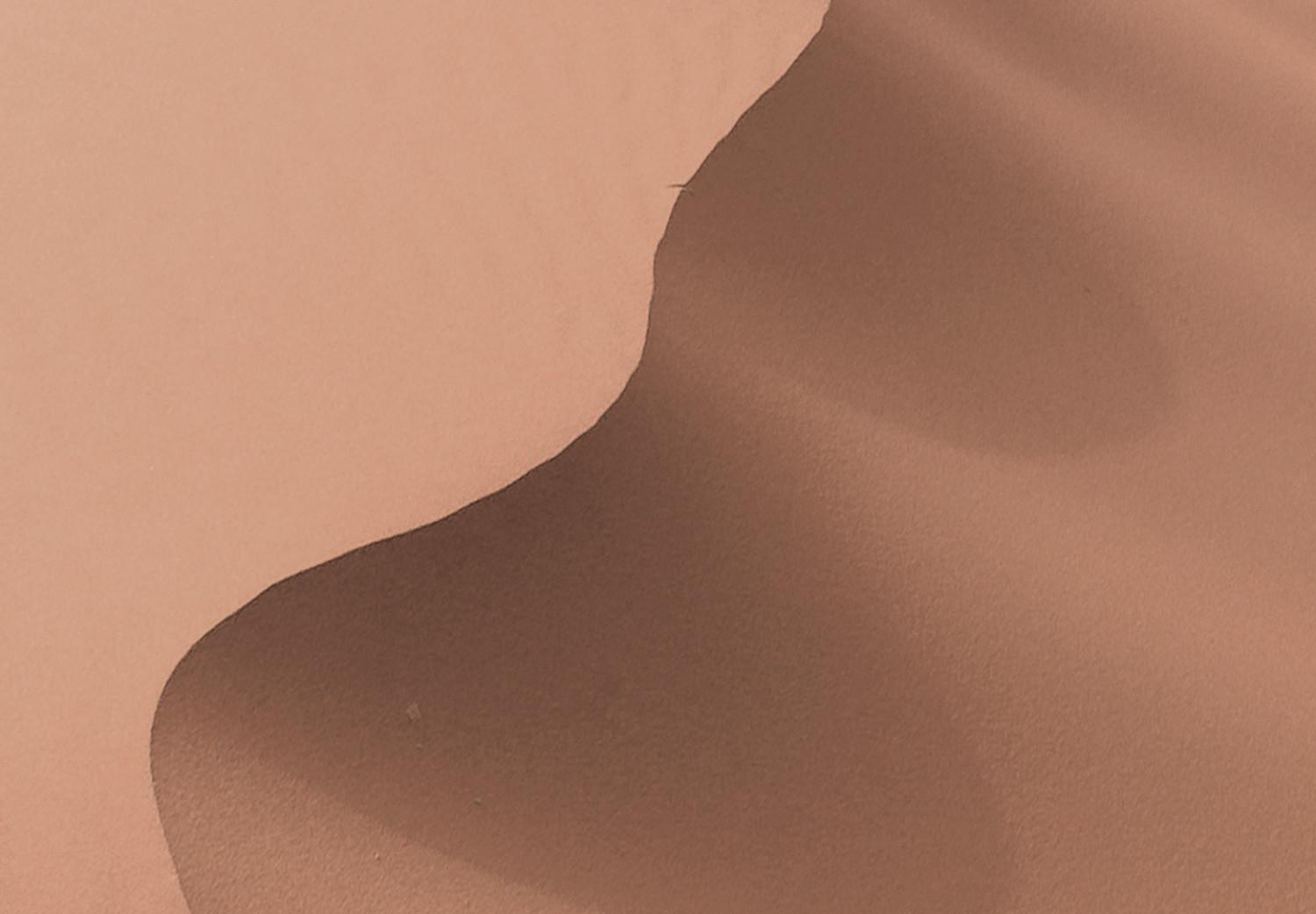 Cartel Espacio arenoso - paisaje de dunas de arena en desierto marrón
