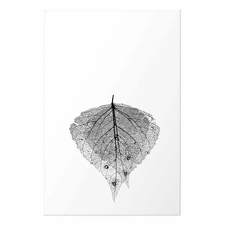 Póster Leaf Macro [Poster]