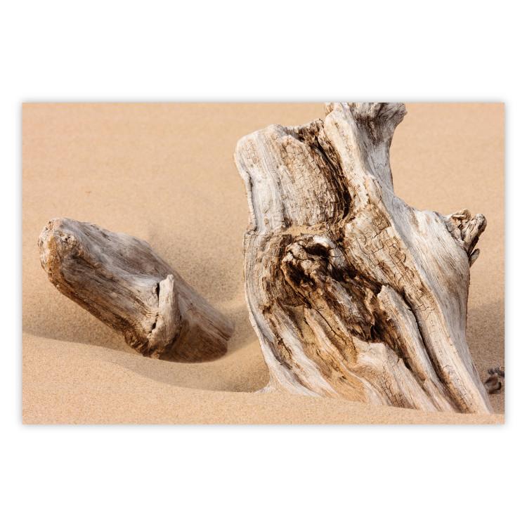 Pasado descubierto - paisaje de playa con madera marrón