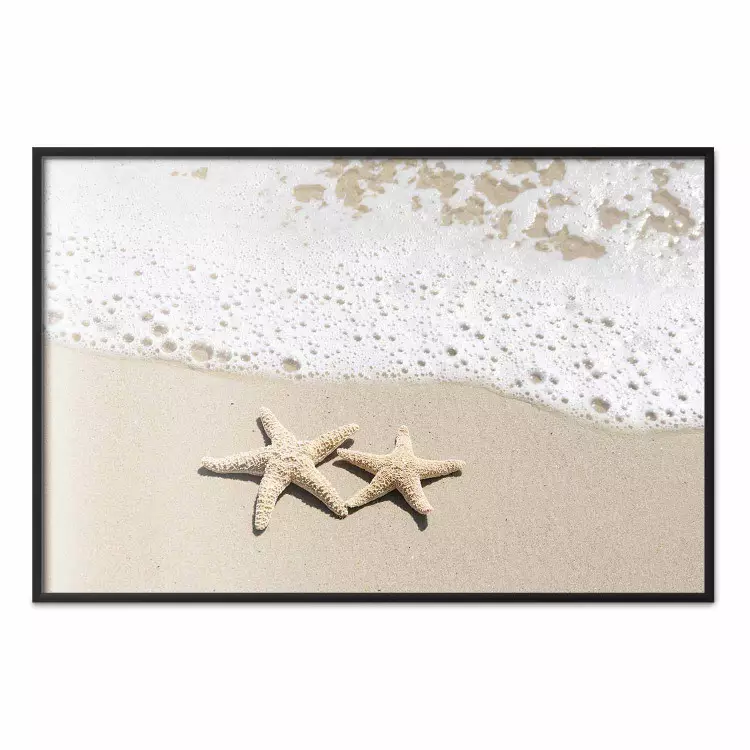 Recuerdo de vacaciones - paisaje de playa con estrellas de mar