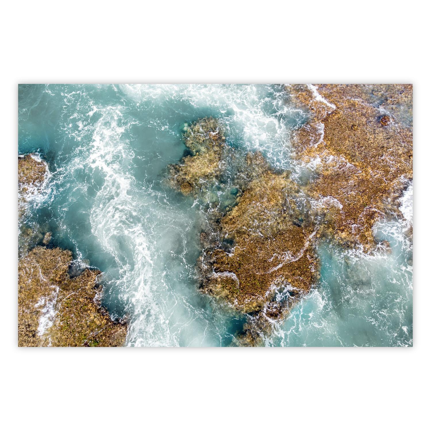Póster Ningaloo Reef [Poster]