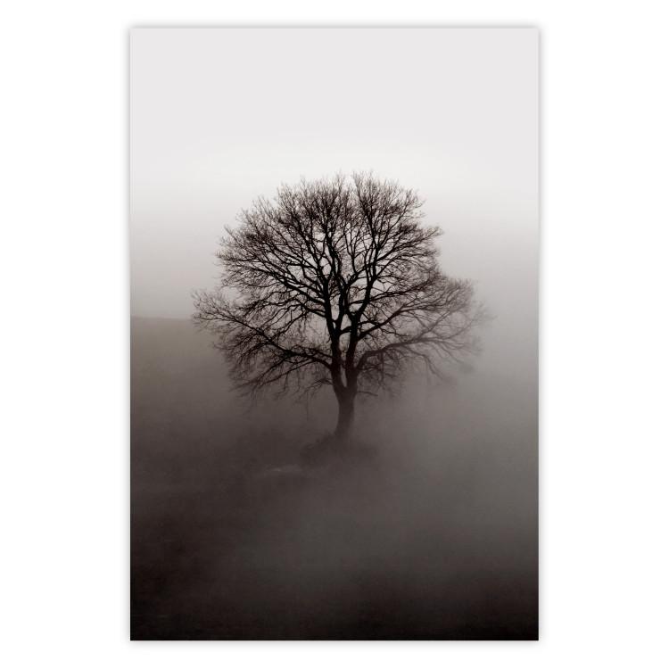 La fuerza dormida del árbol - árbol desnudo en densa niebla
