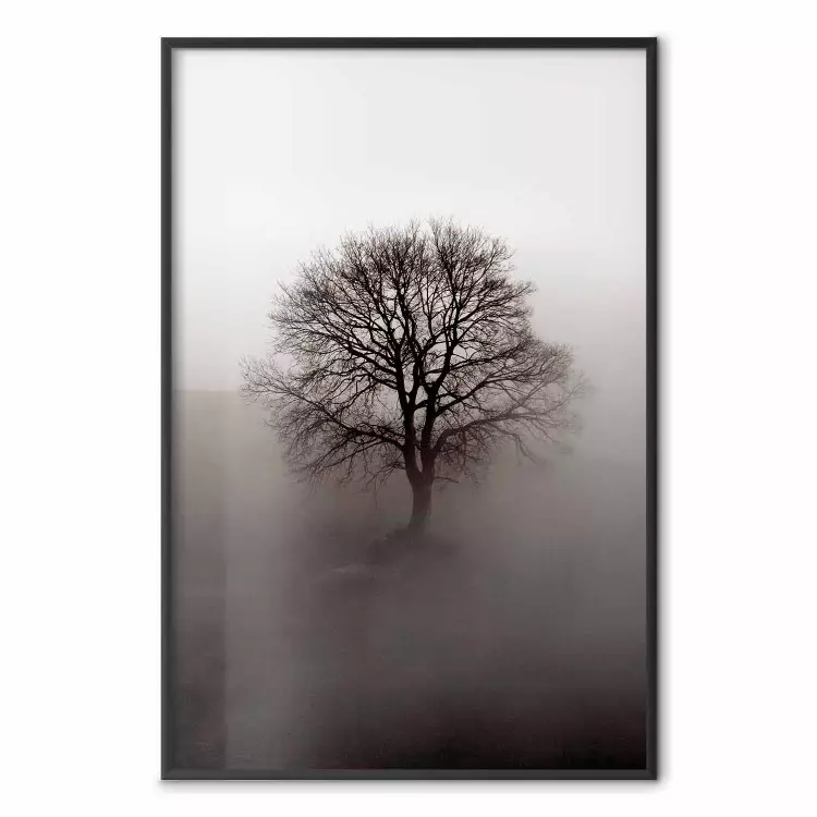 La fuerza dormida del árbol - árbol desnudo en densa niebla