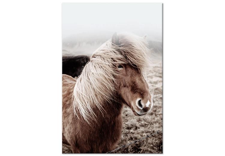 Contra el Viento (unitario) vertical - Fotografía retrato de caballo