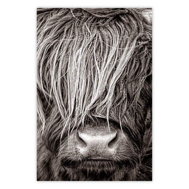 Cara a cara con la naturaleza - retrato de animal en blanco y negro