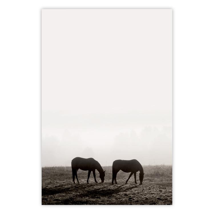 Descanso matutino - caballos en campo con cielo claro
