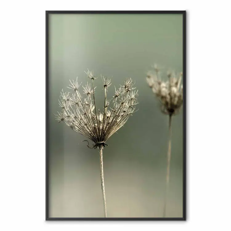 Nostalgia del verano pasado - planta de verano en fondo verde difuso