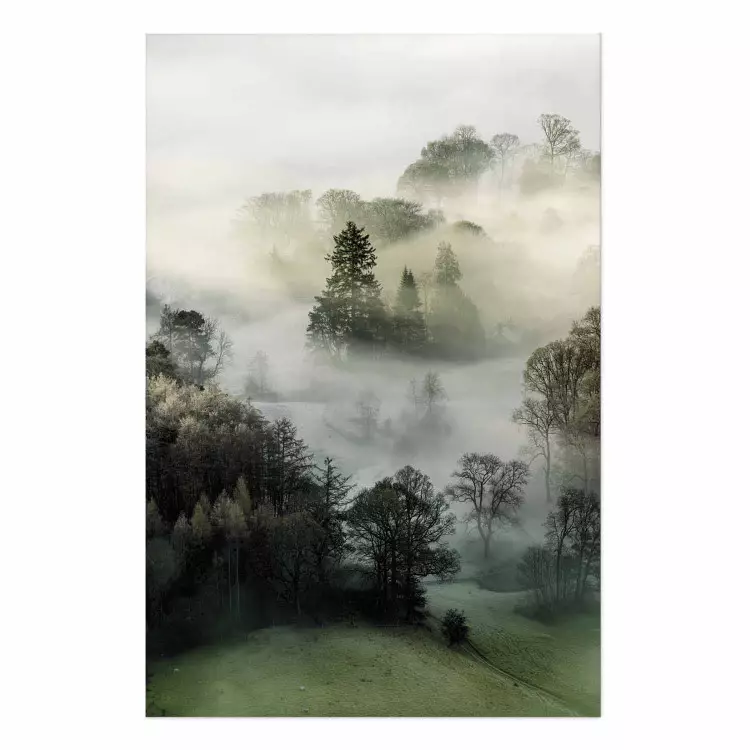 Frescor de la mañana - árboles en niebla con cielo