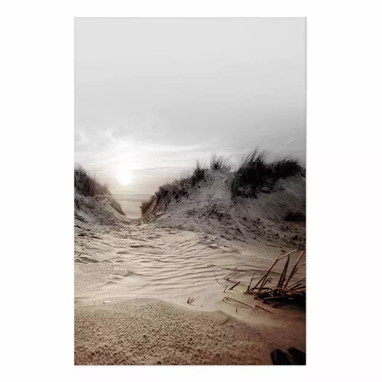 Póster Camino por dunas - playa arenosa, cielo claro