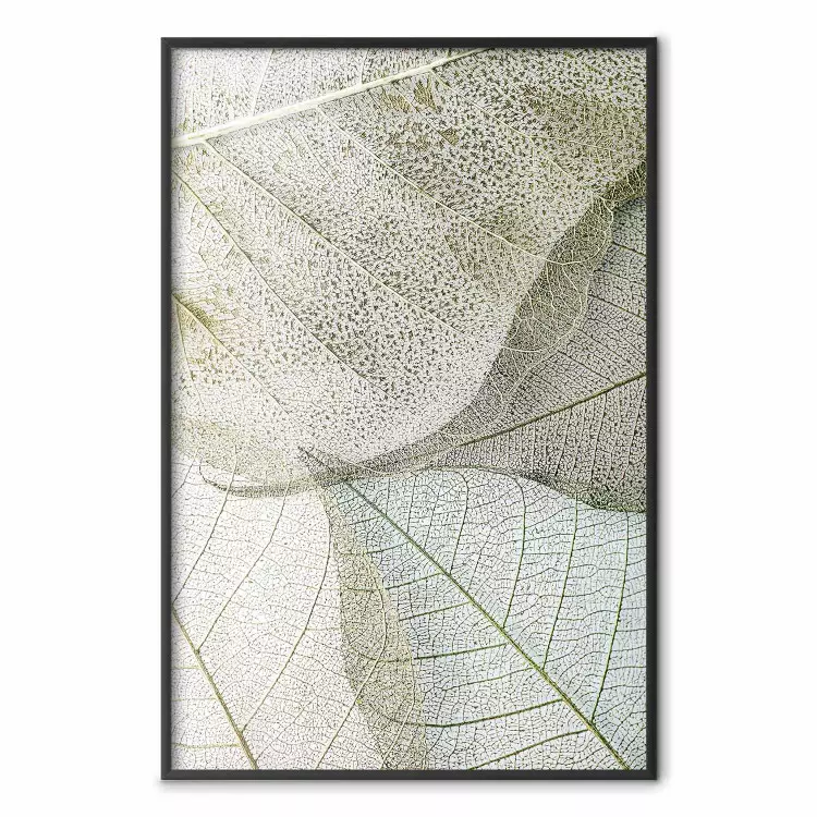 Configuración de hojas - composición de hojas con una clara textura