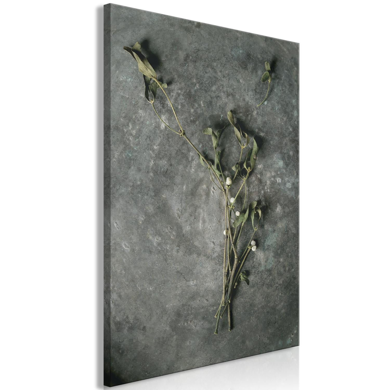 Cuadro decorativo Muérdago seco - fotografía botánica de invierno sobre piedra gris