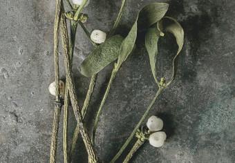 Cuadro decorativo Muérdago seco - fotografía botánica de invierno sobre piedra gris