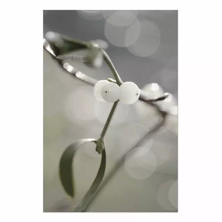 Set de poster Pureza niebla - planta flor blanca, natural
