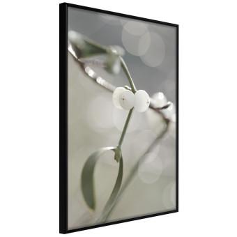 Set de poster Pureza niebla - planta flor blanca, natural