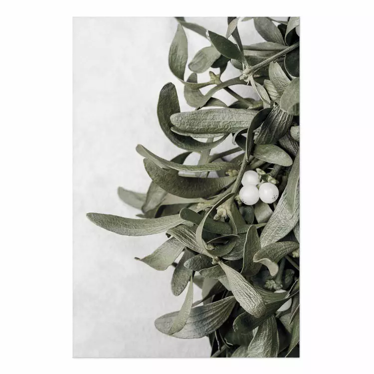 Beso feliz - planta frondosa con flores sobre fondo gris