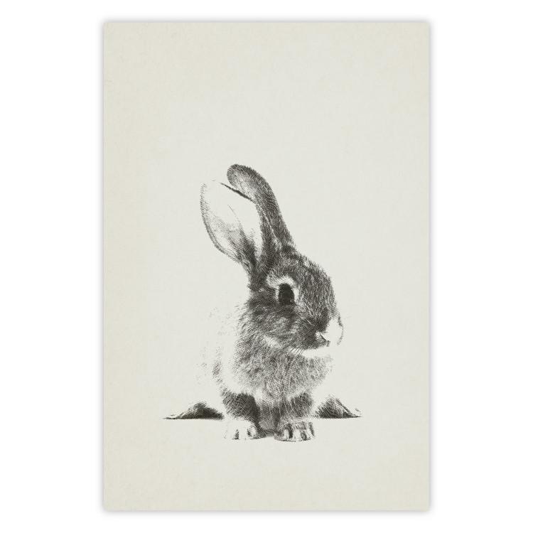 Conejito esponjoso - conejo gris, boceto, uniforme