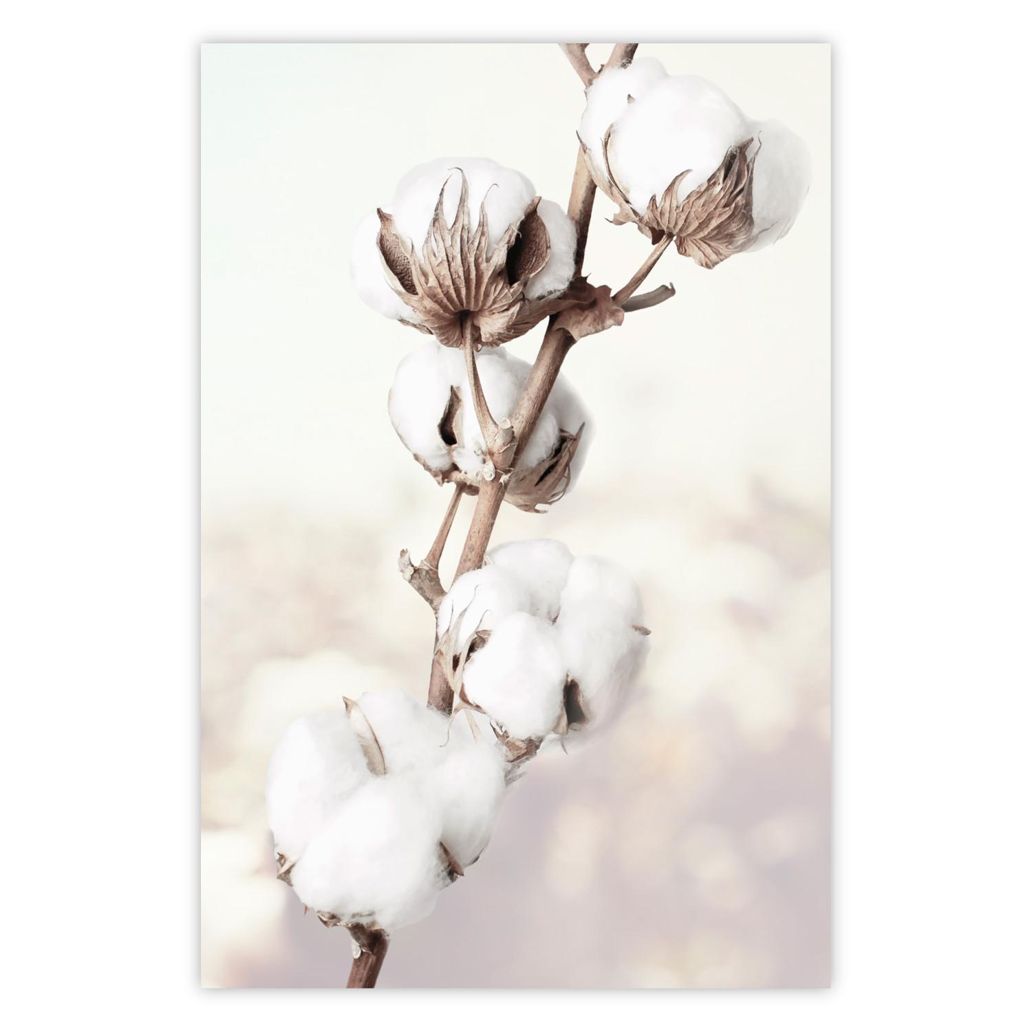 Póster Sutileza floral - planta con flores blancas, claro