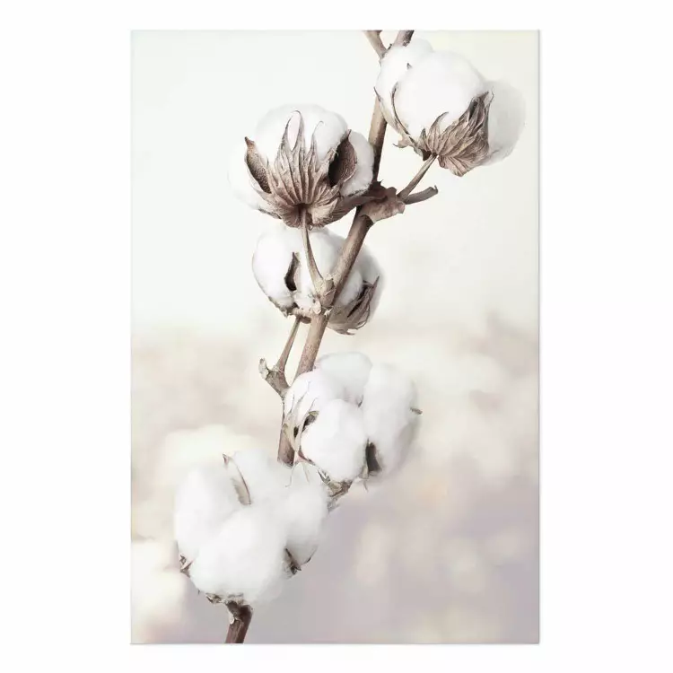 Póster Sutileza floral - planta con flores blancas, claro