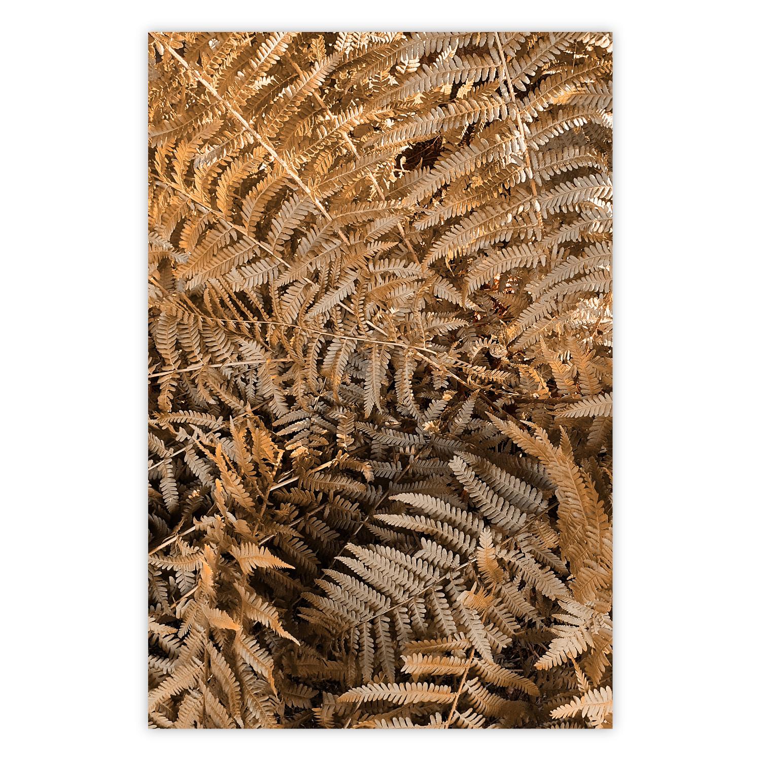 Póster Helecho misterioso - composición natural de plantas con hojas marrones