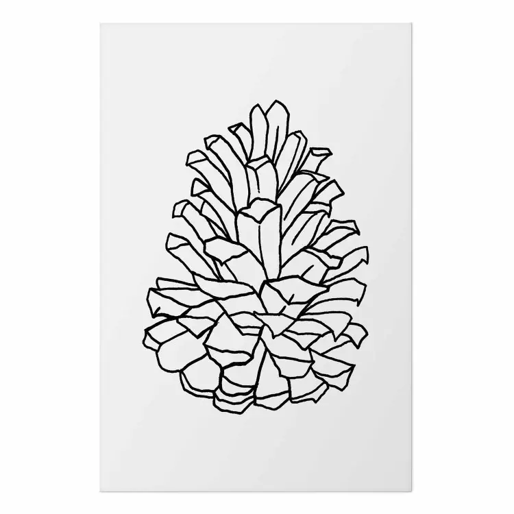 Poster Open Pine Cone [Poster]