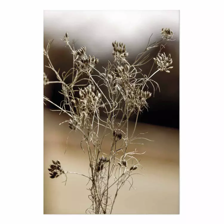 Cartel Madurez apasionada - planta con flores desenfocadas