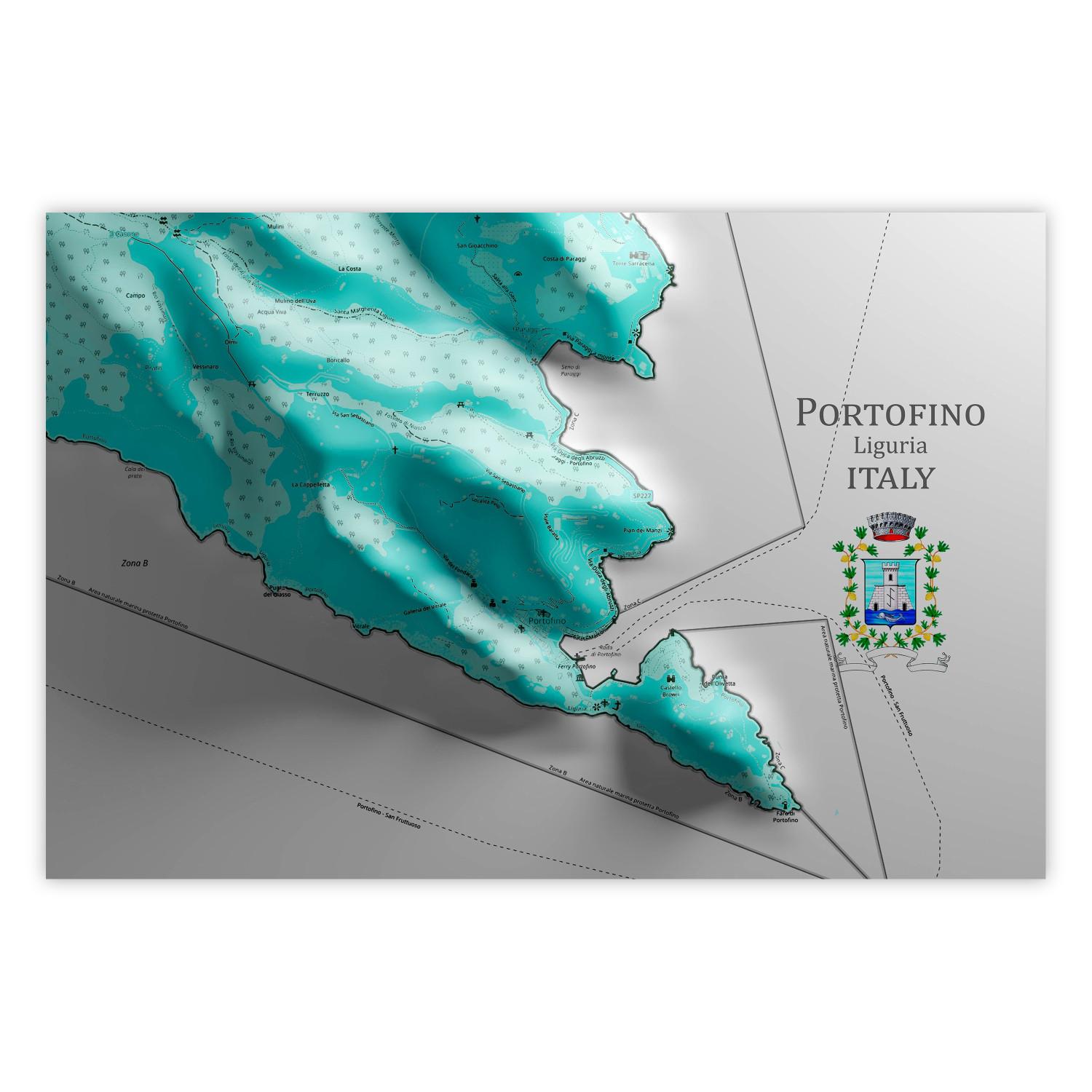 Cartel Portofino and Surroundings [Poster]