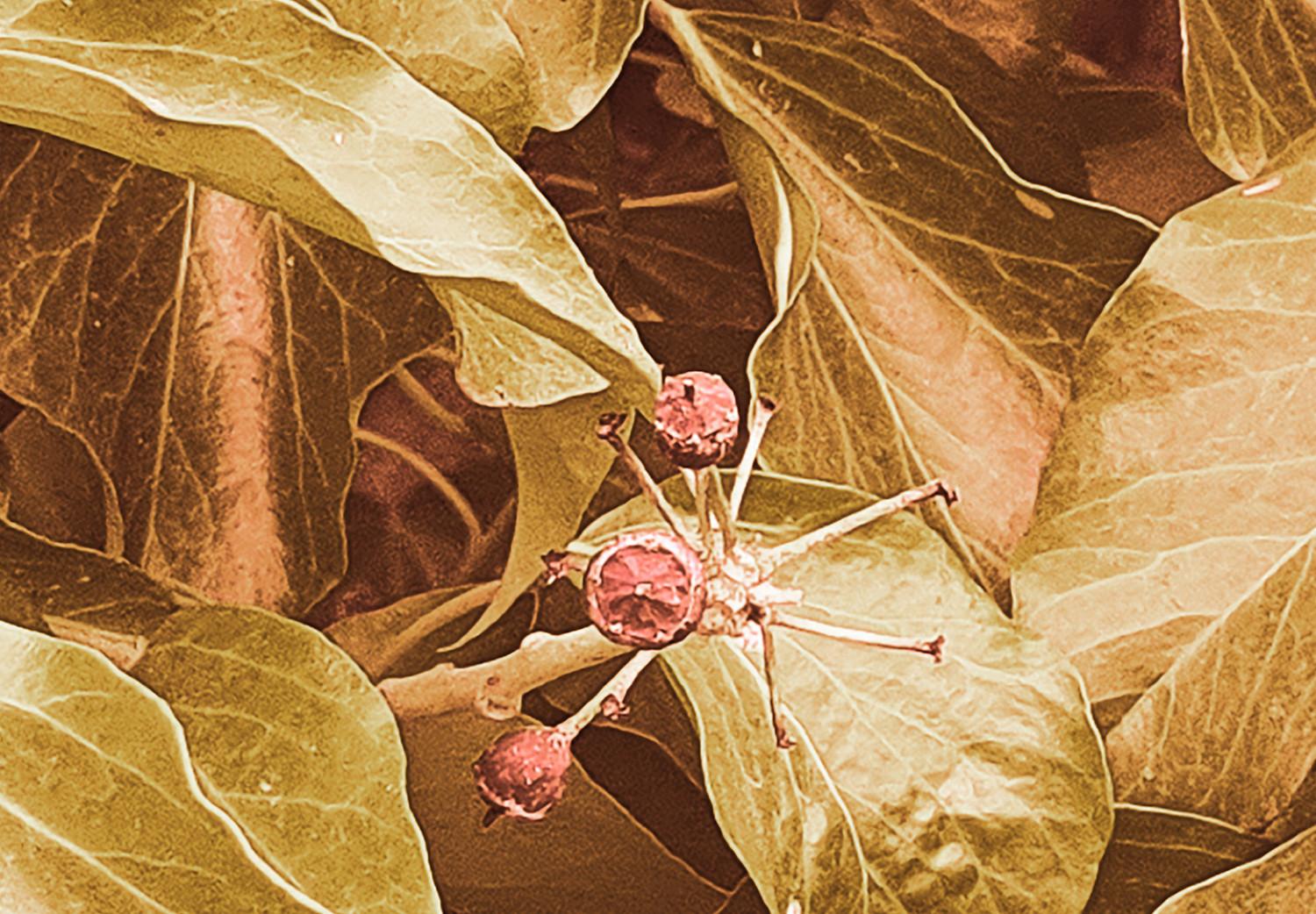 Poster Aura otoñal - composición vegetal sobre seto en color sepia