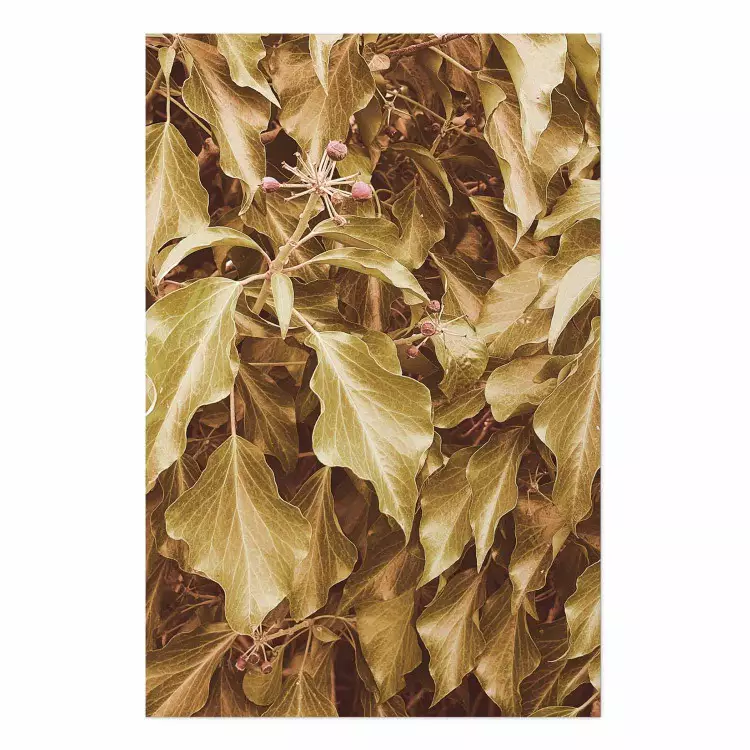 Poster Aura otoñal - composición vegetal sobre seto en color sepia