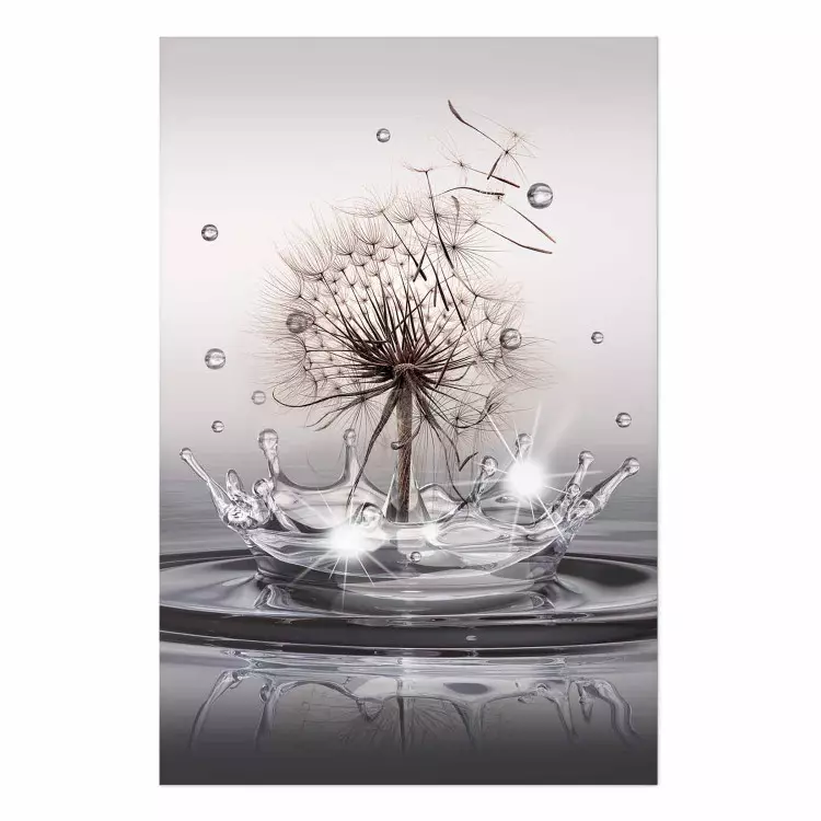 Cartel Gotas de viento - flor de diente de león en agua