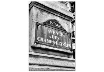 Cuadro decorativo Avenida de Campos Elíseos - la famosa calle de París en blanco y negro