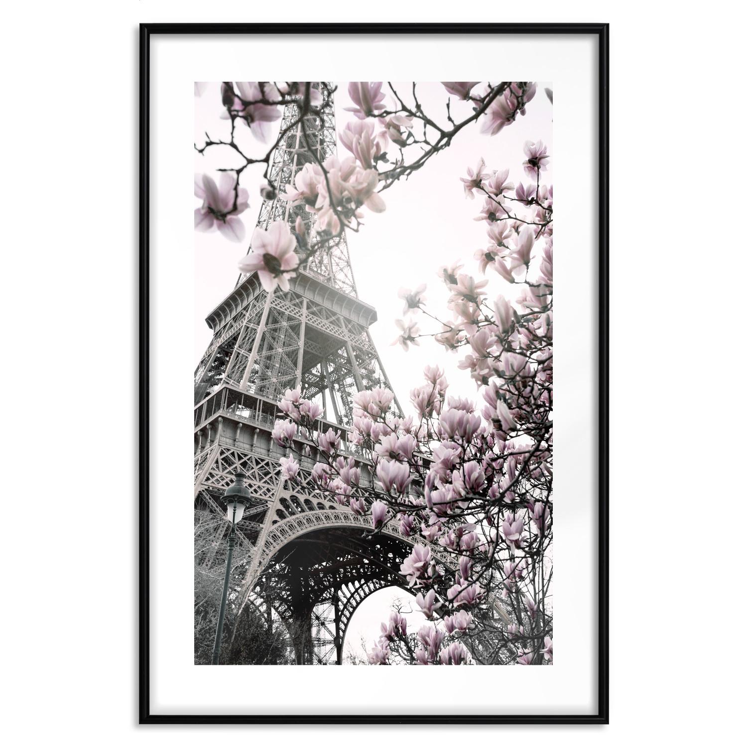 Set de poster Magnolias in the Paris Sun [Poster]