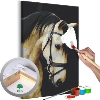 Cuadro para pintar con números Horse Portrait 