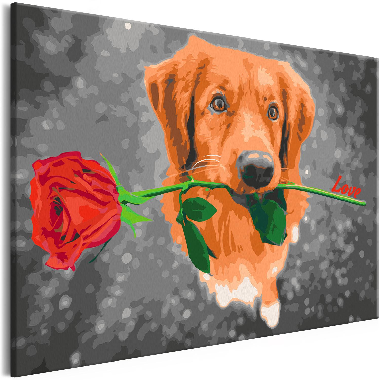 Cuadro para pintar por números Dog With Rose 