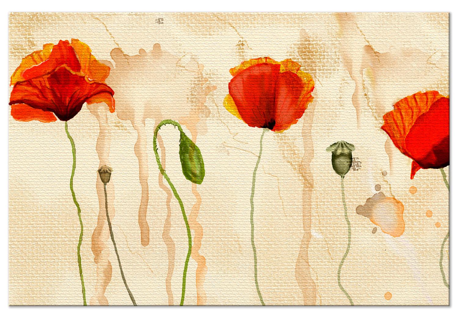 Cuadro XXL Tears of Poppies [Large Format]