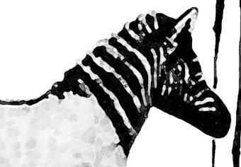 Poster Banksy: Washing Zebra [Poster]