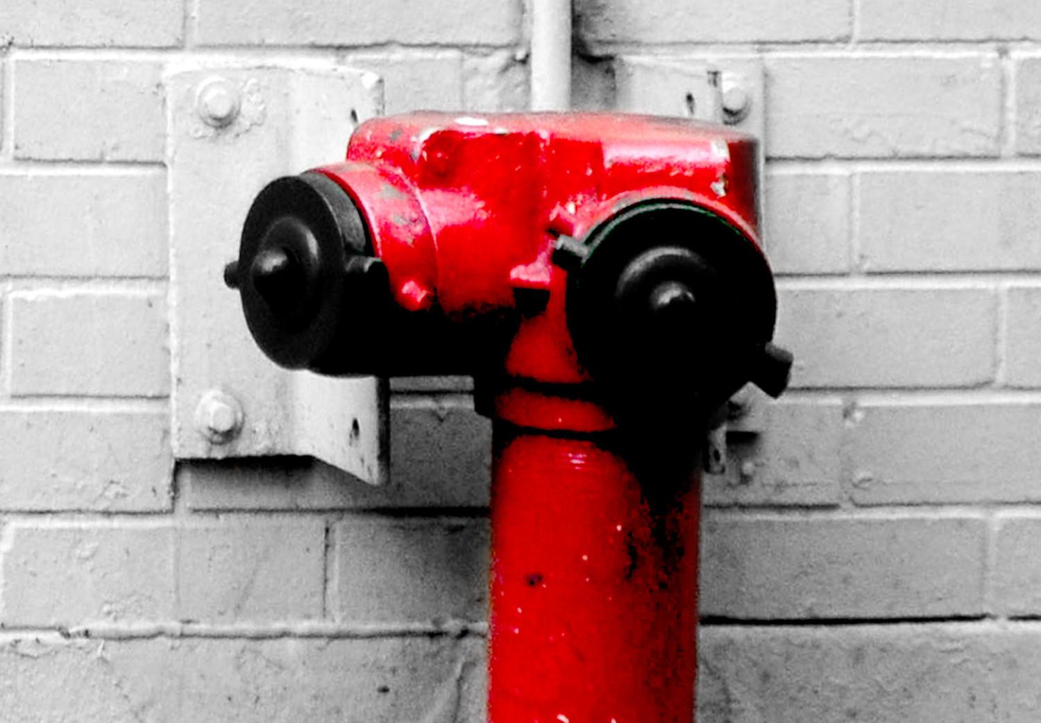 Cartel Destroy Hydrant [Poster]