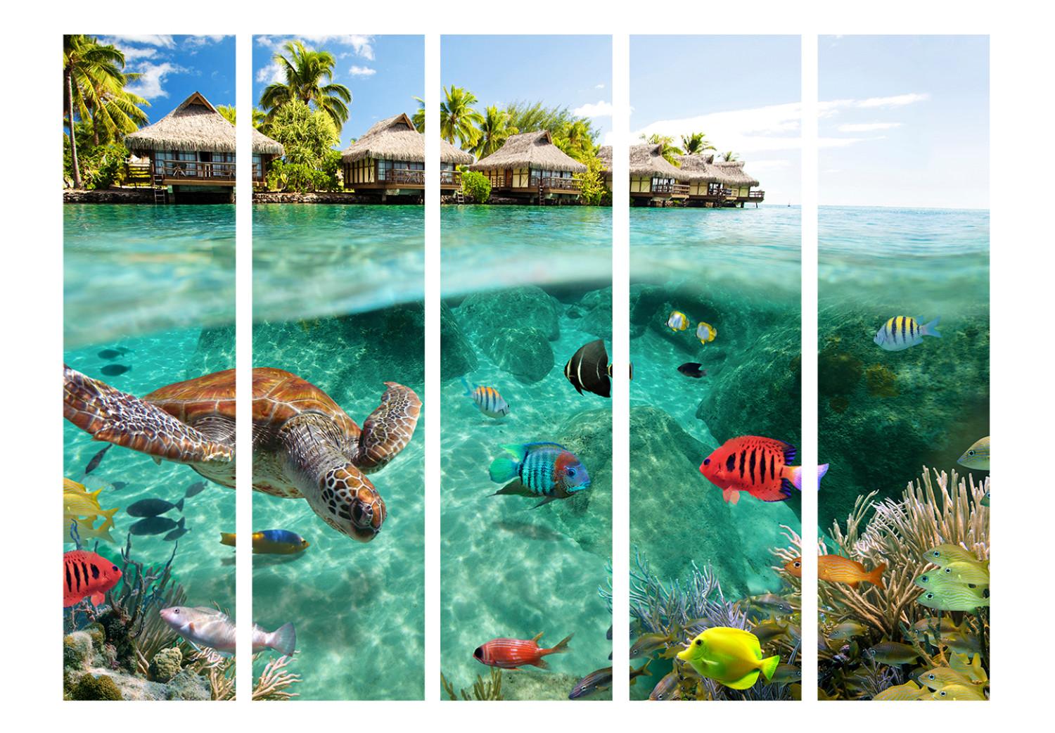 Biombo decorativo Debajo de la superficie del agua II (5 partes) - tortugas y peces mar
