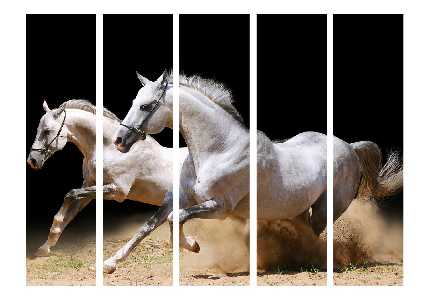 Biombo original Galope sobre la arena II (5 partes) - caballos blancos fondo negro