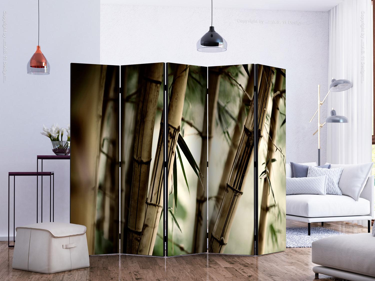 Biombo Fog and bamboo forest II [Room Dividers]