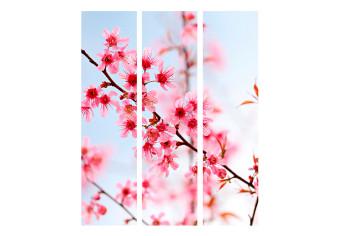 Biombo decorativo Symbol of Japan - sakura flowers [Room Dividers]