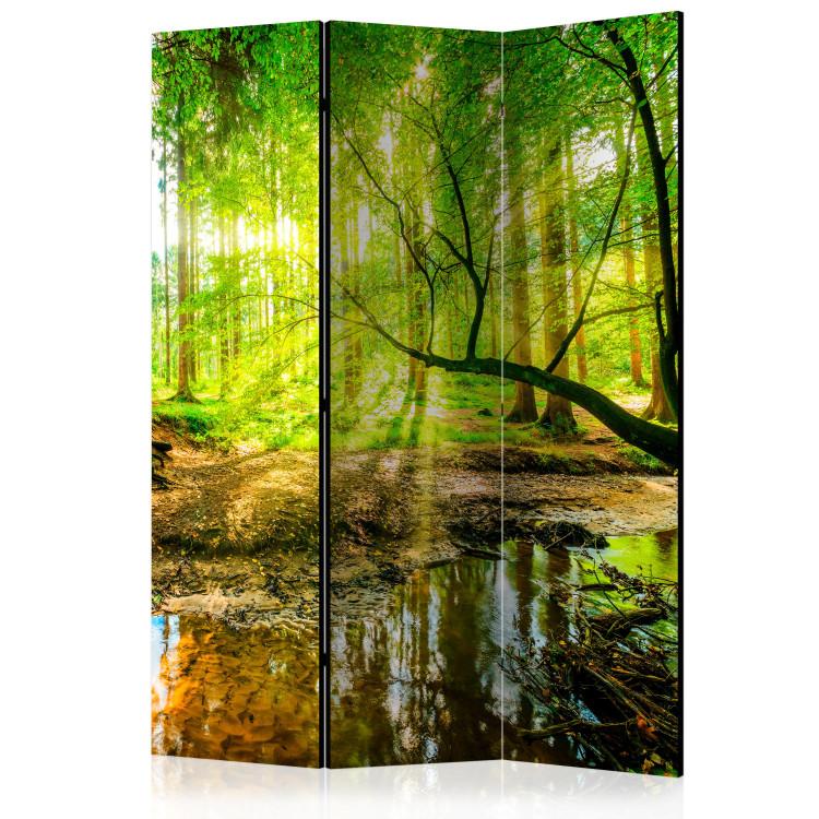 Biombo Forest Stream [Room Dividers]