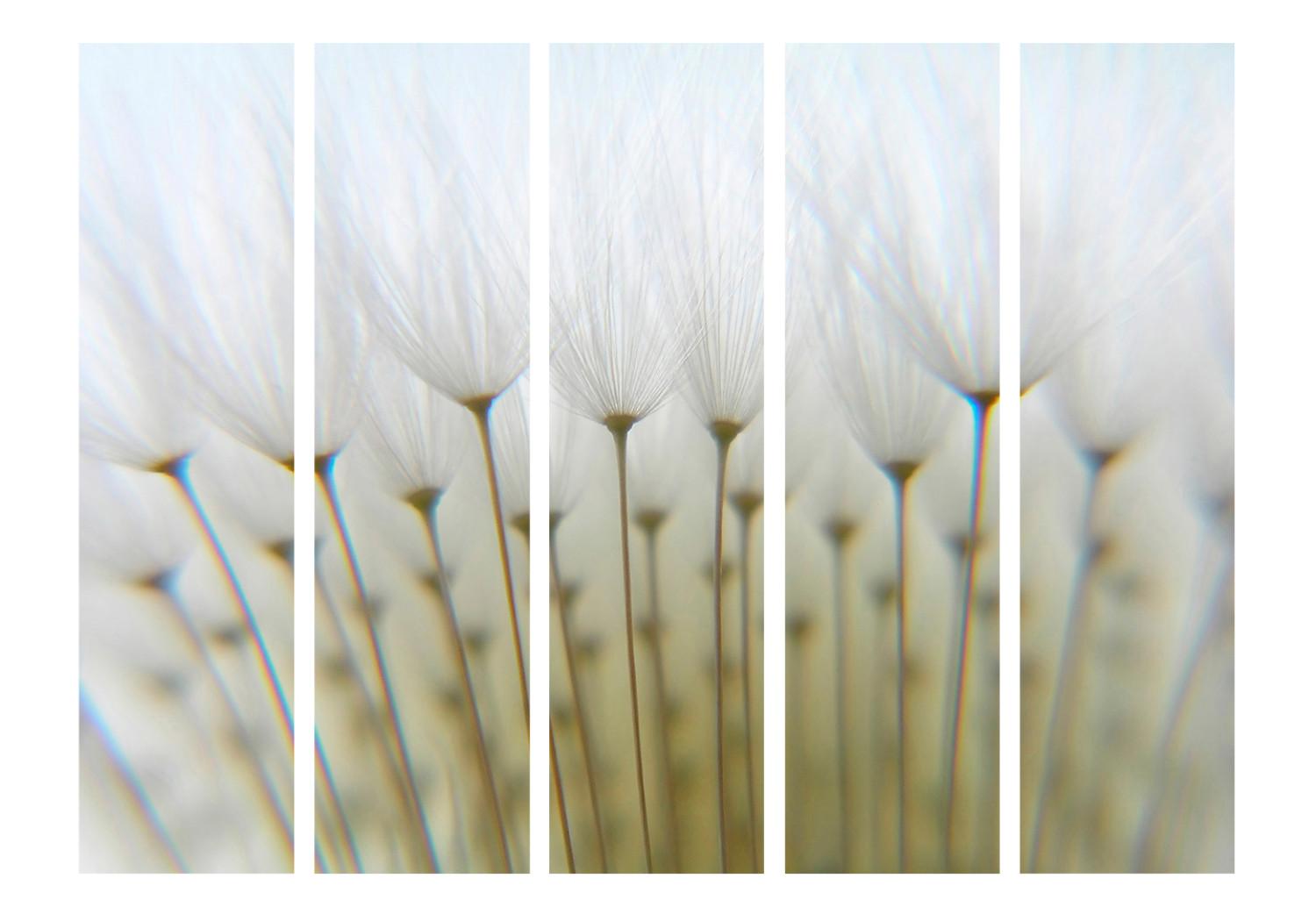 Biombo Bosque de diente de león II (5 piezas) - flores brillantes