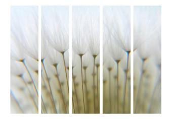 Biombo Bosque de diente de león II (5 piezas) - flores brillantes