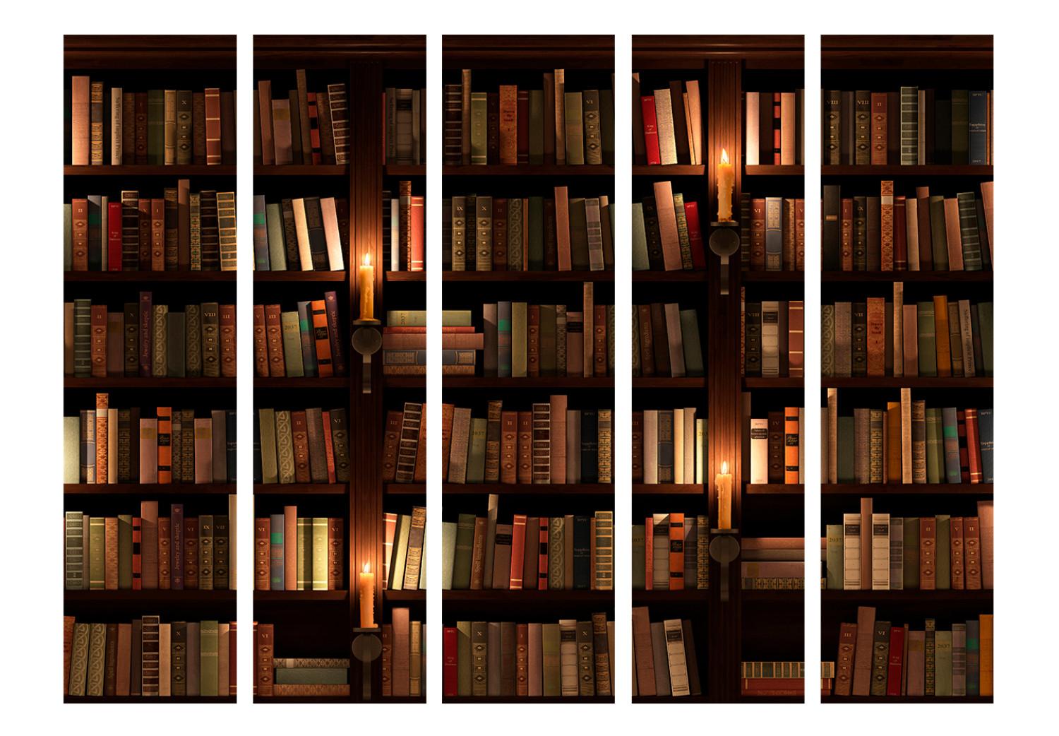 Biombo barato Librerías II (5 piezas) - composición oscura con literatura