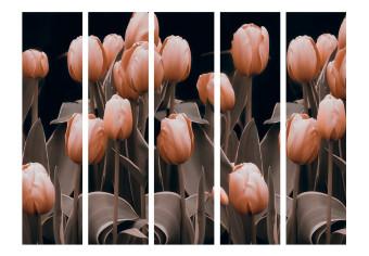 Biombo original Damas entre las flores II (5 partes) - ramo de tulipanes rosas