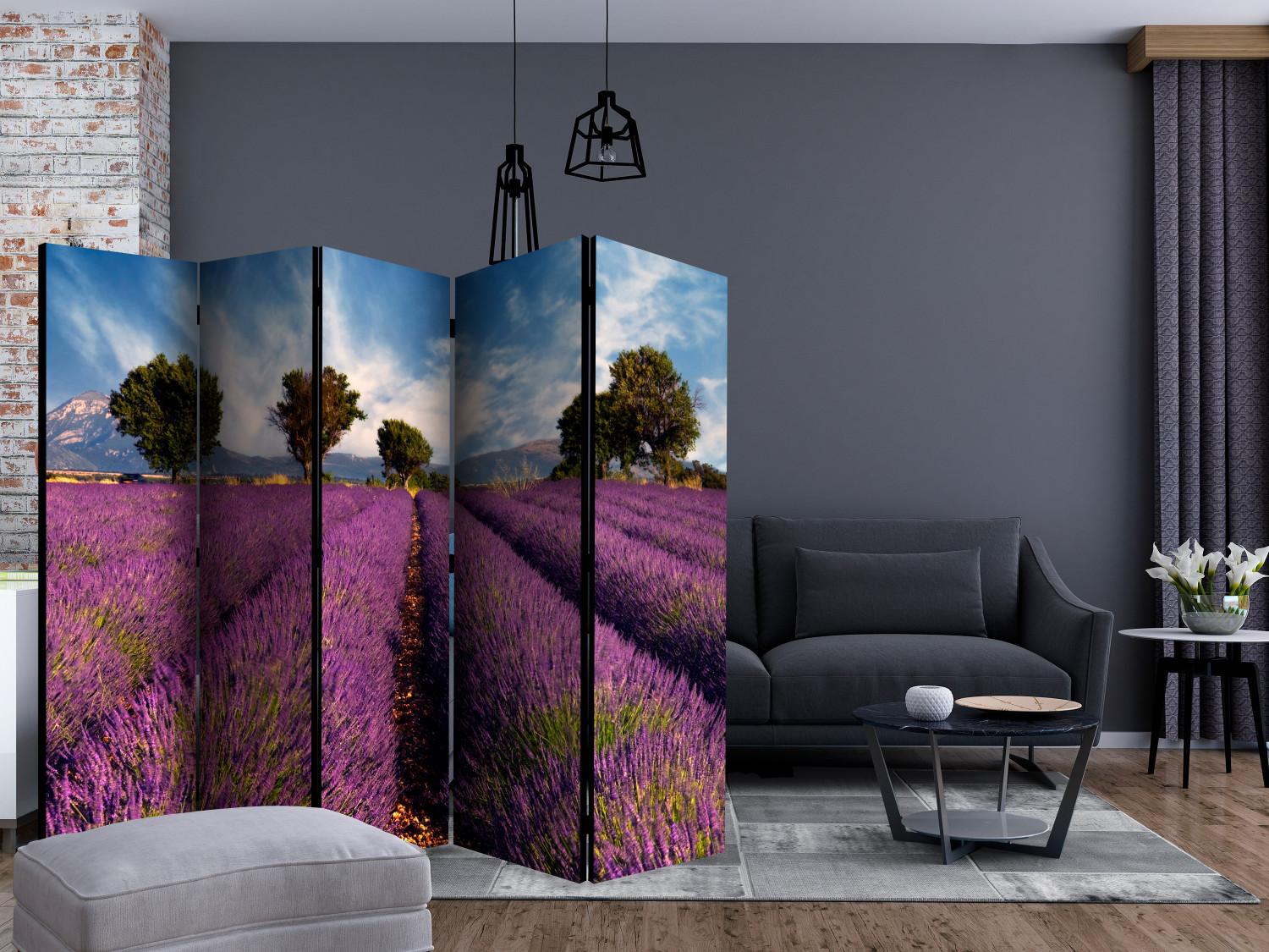 Biombo decorativo Campo de lavanda en Provenza II (5 partes) - campos de lavanda violeta