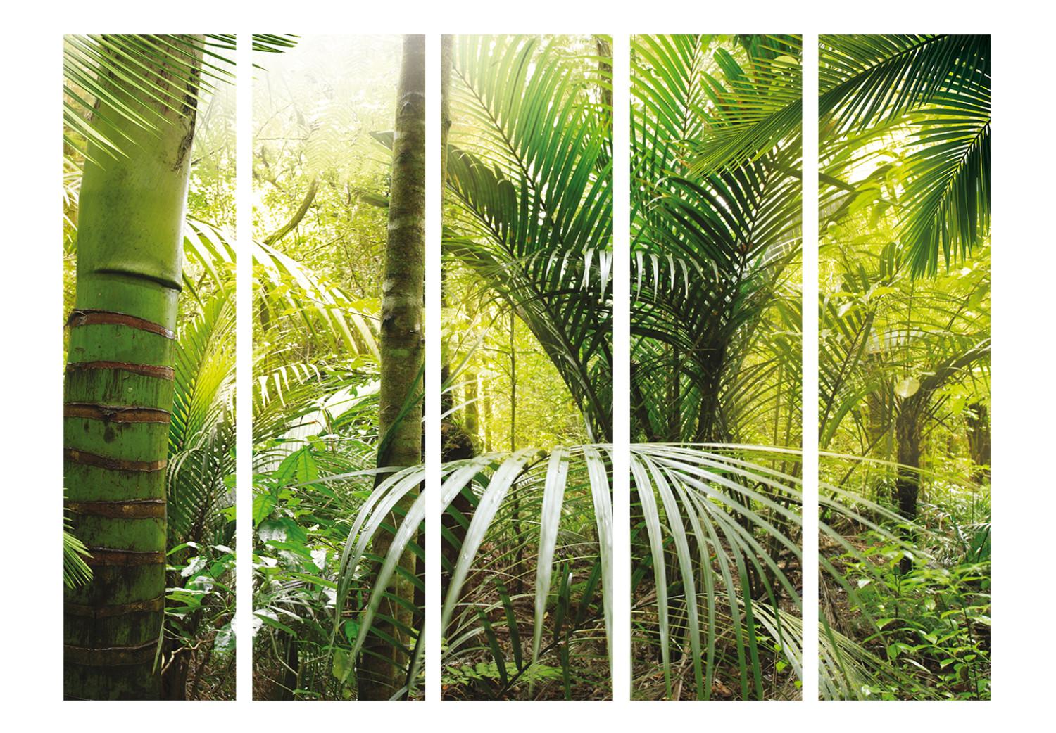 Biombo barato Green Avenue II (5 partes) - composición con palmeras en la jungla